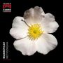 St.John's College Choir Cambridge - Magnificat, CD