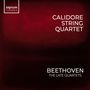 Ludwig van Beethoven: Streichquartette Vol.1 - The Late Quartets, 3 CDs