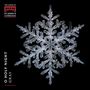 „O Holy Night Gray“ und ein Logo links oben. Darunter eine detaillierte Schneeflocke auf schwarzem Hintergrund., CD