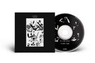 Text: "In a Glass House", "Gentle Giant", "Madfish". Schwarze CD mit stilisierter weiß-schwarzer Band-Abbildung., CD