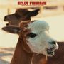 Text: "Kelly Finnigan B-Sides, Singles & Forgotten Gems." Zwei Alpakas; das vordere kaut auf einem Strohhalm., CD