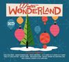 Winter Wonderland: 60 Festive Favourites, 3 CDs