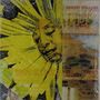 Robert Pollard: Not In My Airforce (Reissue), LP