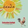 Téada: Coiscéim Coiligh - As The Days Brighten, CD