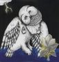 Songs: Ohia: Magnolia Electric Co. (10th-Anniversary-Deluxe-Edition), 2 LPs