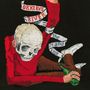 Okkervil River: The Stand Ins, CD
