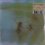 Clap Your Hands Say Yeah: New Fragility (Limited Edition) (Bone Opaque Vinyl), LP