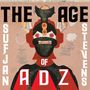 Sufjan Stevens: The Age Of Adz, 2 LPs