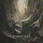Text: "PHOBOCOSM GATEWAY". Illustration einer düsteren, felsigen Schlucht mit einem hellen, einladenden Licht am Ende., LP
