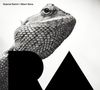 Gabriel Dalvit & Albert Sanz: RA, CD, CD