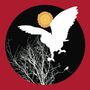 The Owl Service: Garland Sessions, CD, CD