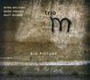 Trio M   (Melford/Dresser/Wilson): Big Picture, CD