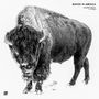Johannes Brecht / feat. Fetsum: Winter In America (White Vinyl), MAX