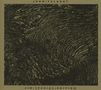 John Talabot: Fin (Special Edition), 2 CDs