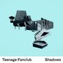 Teenage Fanclub: Shadows, CD