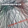 Richard Buckner: Surrounded, CD