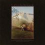 Fruit Bats: The Pet Parade (Limited Edition) (Red & Black Swirl Vinyl), LP