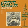 Andrew Gabbard: Homemade (Limited Edition) (Camo Green Vinyl), LP