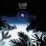 Coil: Musick To Play In The Dark (remastered) (Limited Edition) (Purple & Black Smash Vinyl), 2 LPs, 2 LPs