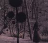 Keine erkennbaren Texte. Eine Frau steht in einem düsteren Wald, umgeben von seltsamen, kugelförmigen Schatten., Maxi-CD