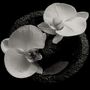 Mike Patton & Jean-Claude Vannier: Corpse Flower (180g) (Limited Edition) (Smokey Swirl Vinyl), LP