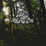 Dead Meadow: Old Growth (LTD. Neon Green Vinyl), 2 LPs