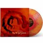 "Terri Lyne Carrington, Social Science, trip the night fantastic." Rotes Cover, schemenhafte Figuren in Bewegung, bunte Vinyl-Schallplatte., 2 LPs