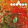 Sedibus: Seti, CD