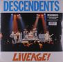"DESCENDENTS", "LIVEAGE!" in großen Lettern. Eine Band spielt auf einer beleuchteten Bühne vor Publikum.