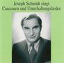 Joseph Schmidt - Canzonen & Unterhaltungslieder, 2 CDs