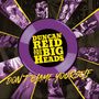 Duncan Reid & The Big Heads: Don't Blame Yourself (Purple/Yellow Vinyl), LP