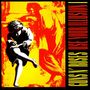 Guns N' Roses: Use Your Illusion I (180g), 2 LPs