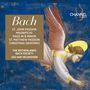 Johann Sebastian Bach: Passionen, Weihnachtsoratorium, h-moll-Messe, Magnificat, 10 CDs