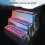 Morning: Struck Like Silver, CD, CD