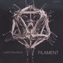 Eighth Blackbird - Filament, CD