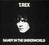 T.Rex (Tyrannosaurus Rex): Dandy In The Underworld, 2 CDs