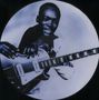 John Lee Hooker: Electric Blues (Limited-Edition) (Picture-Disc), LP