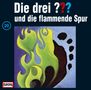 Die drei ???: Die drei ??? und die flammende Spur (Folge 20) (Limited-Edition) (Picture Disc), LP