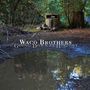 Waco Brothers: Going Down In History (180g) (Limited Edition), LP