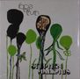 Stephen Malkmus : Face The Truth, LP