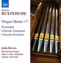 Dieterich Buxtehude: Orgelwerke Vol.7, CD