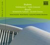 : Naxos Selection: Brahms - Violinkonzert op.77, CD