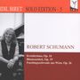 : Idil Biret - Solo Edition Vol.5/Robert Schumann, CD