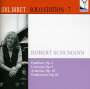 : Idil Biret - Solo Edition Vol.7/Robert Schumann, CD