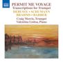 : Craig Morris - Permit Me Voyage, CD