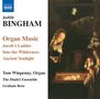 Judith Bingham (geb. 1952): Orgelwerke, CD