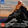 Richard Strauss (1864-1949): Ein Heldenleben, CD