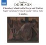 Stephen Dodgson: Kammermusik mit Harfe & Gitarre, CD