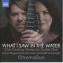 ChromaDuo - What I Saw In The Water, CD