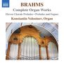 Johannes Brahms (1833-1897): Sämtliche Orgelwerke, CD